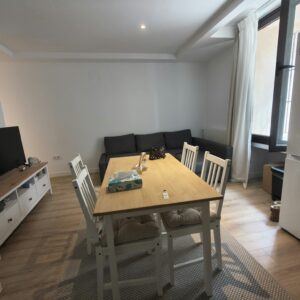 1 BEDROOM 1 BATHROOM NEAR PLAZA MAYOR